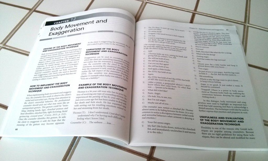 Photo of the book 40 Techniques Every Counselor Should Know