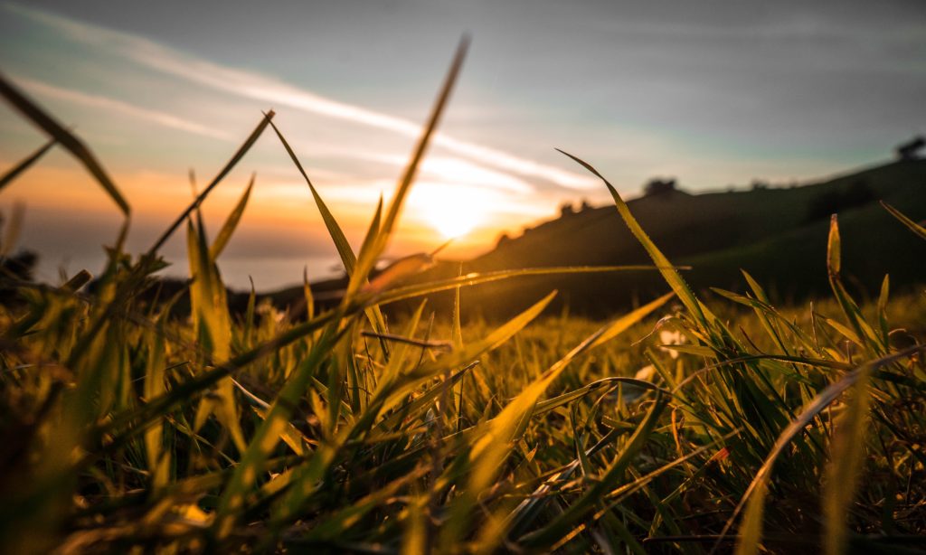 photo of the sun rising over a field