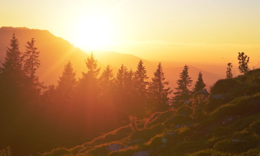 Photo of the sun rising over the treeline on a mountain