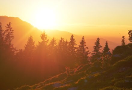 Photo of the sun rising over the treeline on a mountain